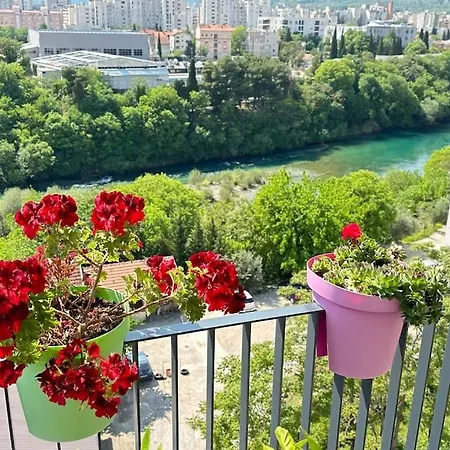 River 503